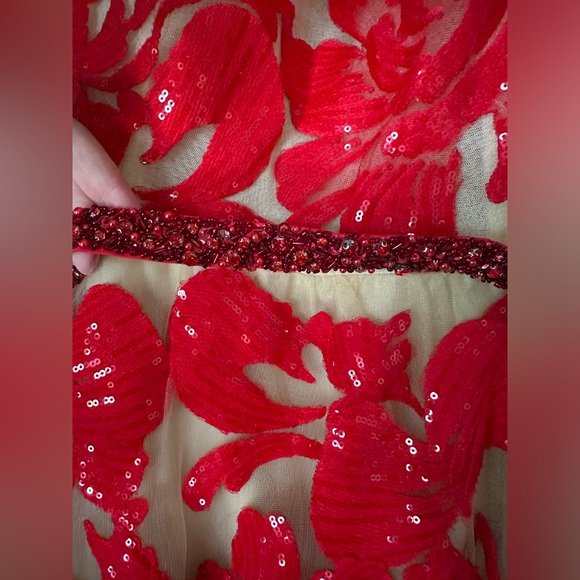 Jovani Gown - Prom or Homecoming, beautiful nude & red - Picture 6 of 13